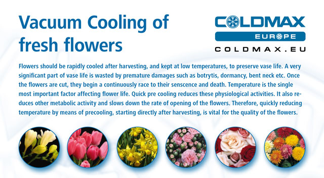 Brochure Vacuum Cooling Flowers