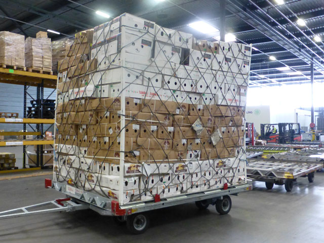 vacuum cooling flowers transport aircraft pallet