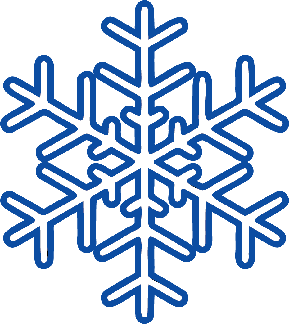 Logo Weber Cooling ijskristal BLUE